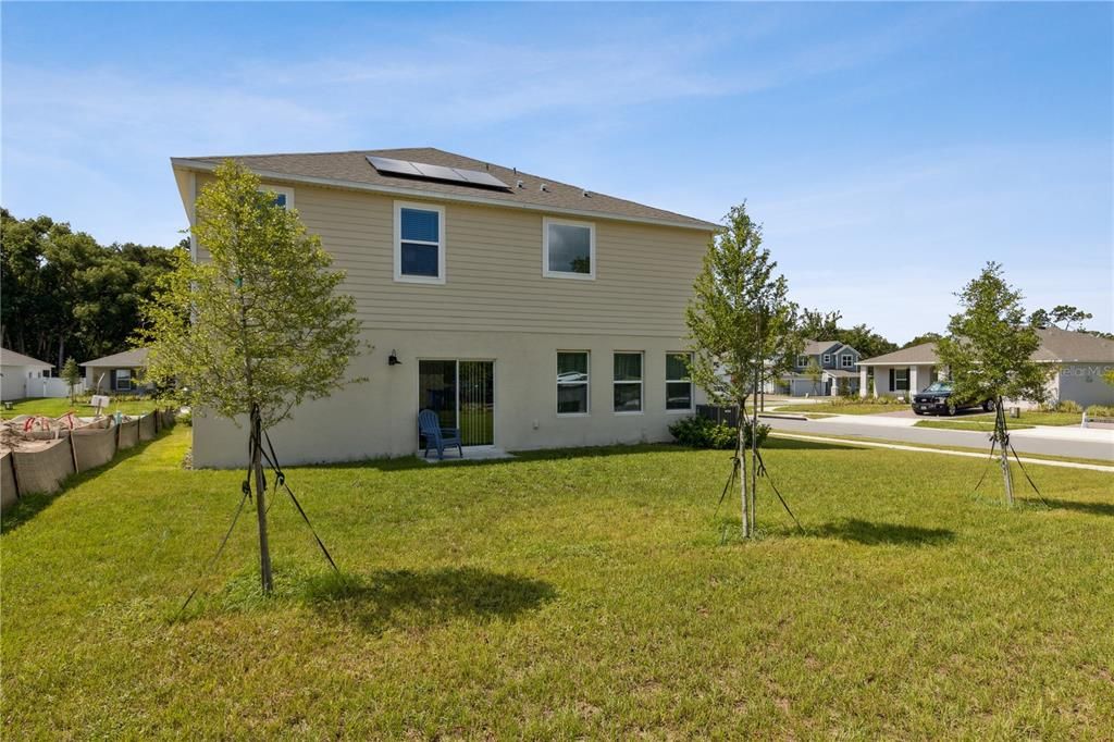 Backyard, Exterior, Solar Panels