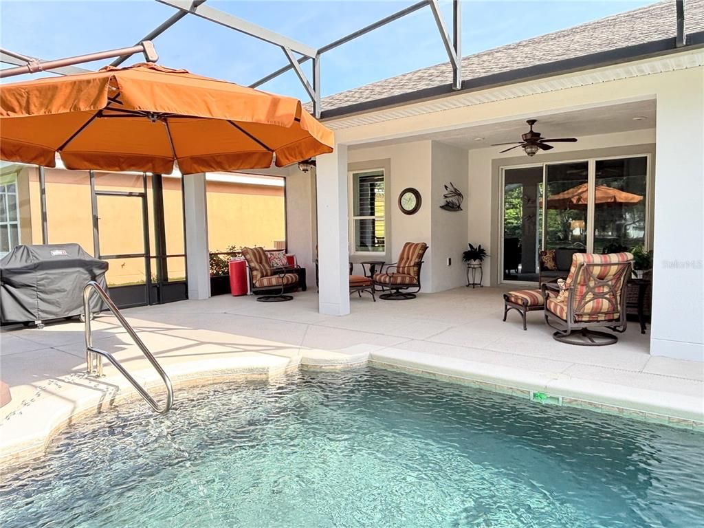 Glass Ceilings, Interior, Pool, Sun Room