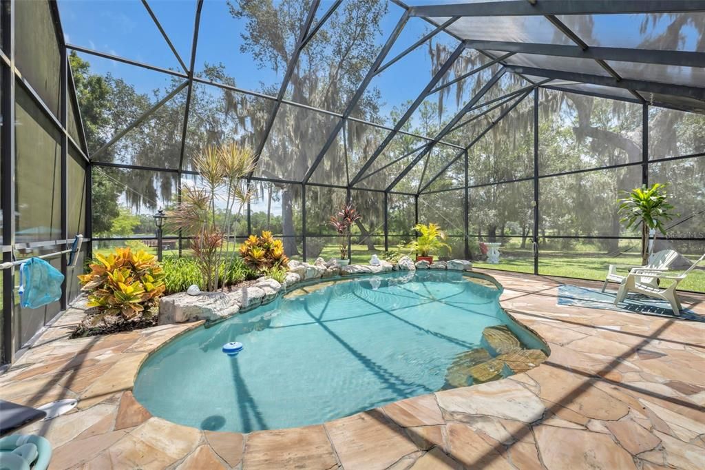 Glass Ceilings, Interior, Pool, Sun Room