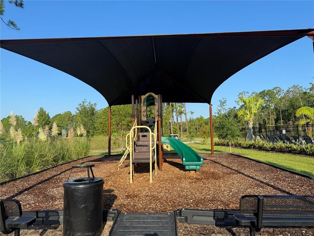 Backyard, Exterior, Playground