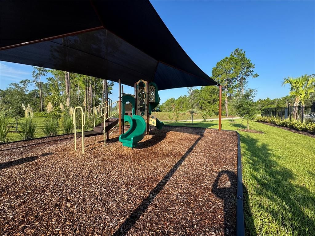 Backyard, Exterior, Playground