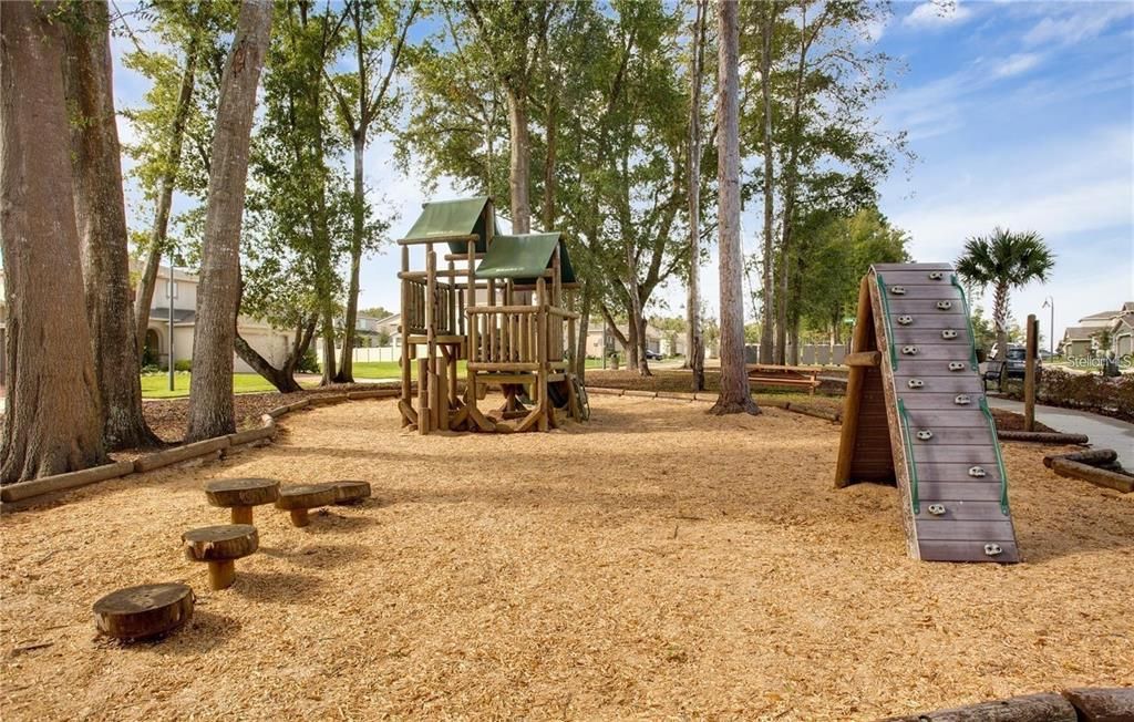 Backyard, Exterior, Playground
