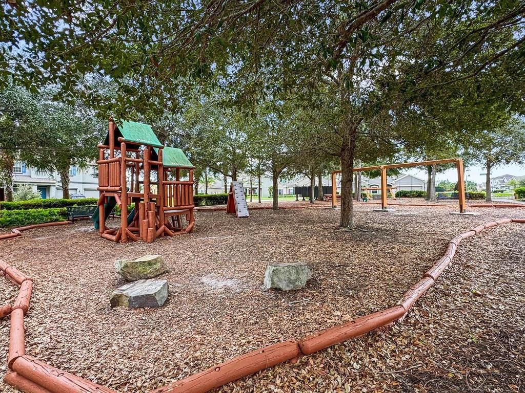 Backyard, Exterior, Playground