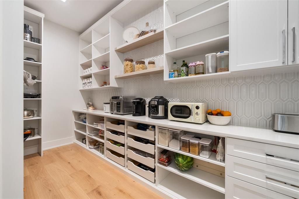 Interior, Walk-in Closets, Wood Texture Flooring
