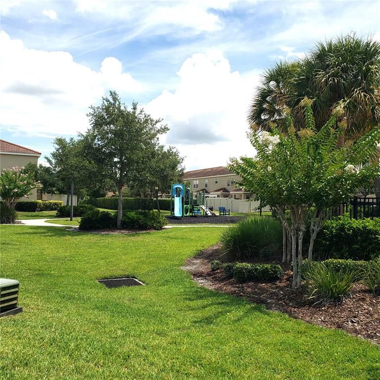 Backyard, Exterior, Playground