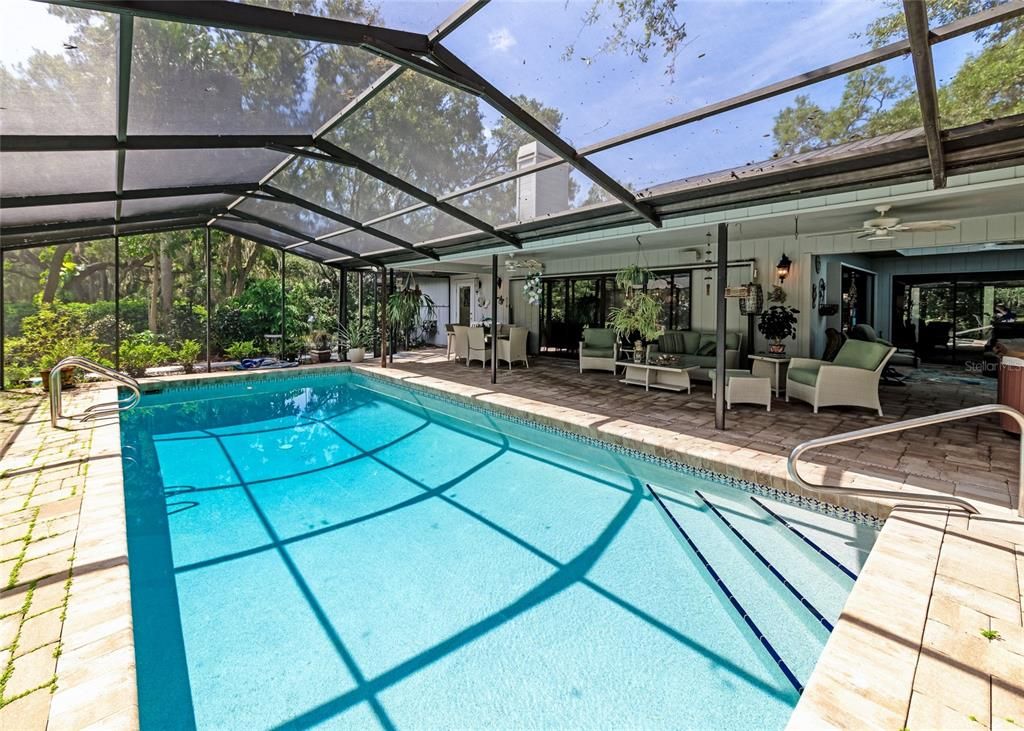 Glass Ceilings, Interior, Pool, Sun Room