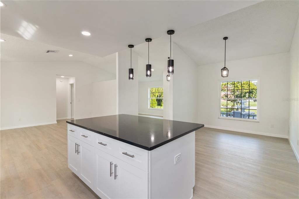 Empty room, Interior, Kitchen, Pendant Lights, Recessed Lighting, Wood Texture Flooring