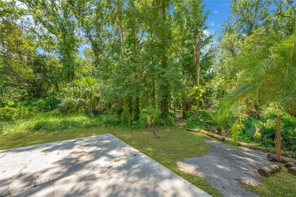 Backyard, Exterior