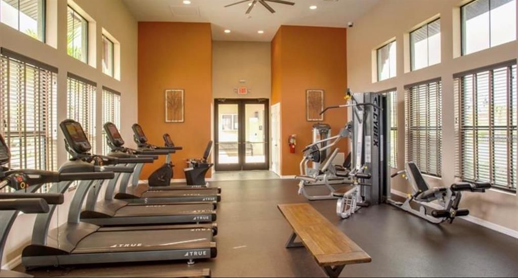 Fitness Equipment, Gym, Interior, Recessed Lighting