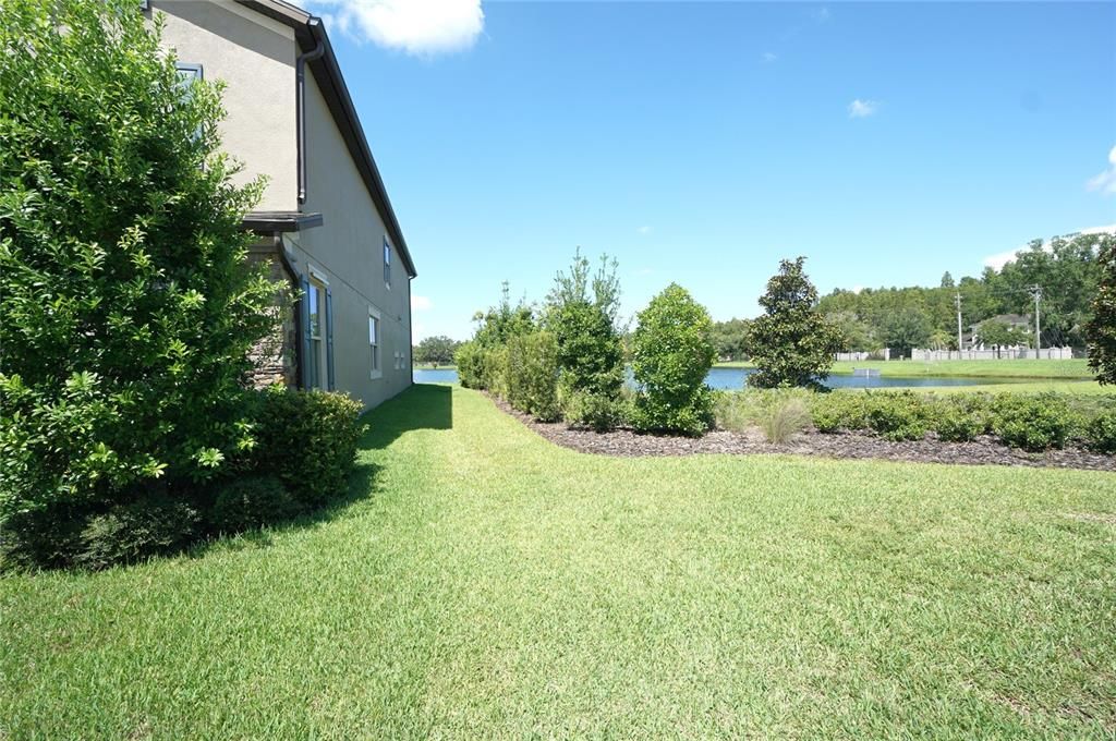 Backyard, Exterior, Water