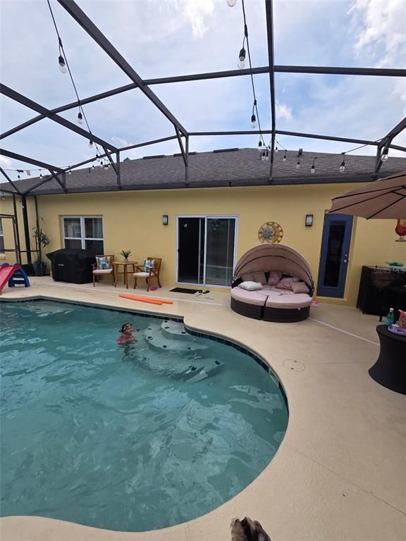Glass Ceilings, Interior, Pool, Sun Room