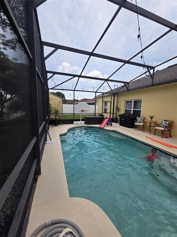 Glass Ceilings, Interior, Pool, Sun Room