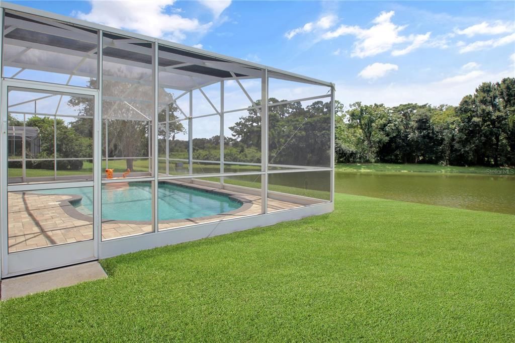 Exterior, Interior, Pool, Sun Room, Water