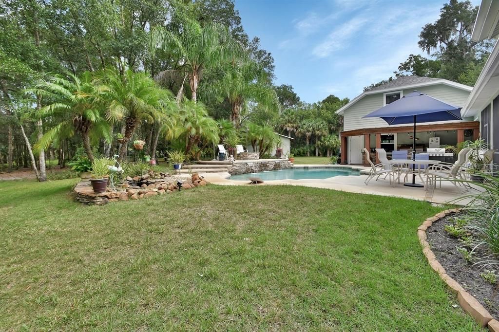 Backyard, Exterior, Pool