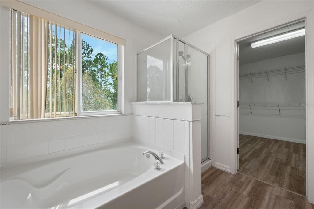 Bathroom, Glass Shower, Interior, Walk-in Closets, Wood Texture Flooring