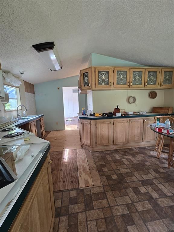 Interior, Kitchen, Wood Texture Flooring
