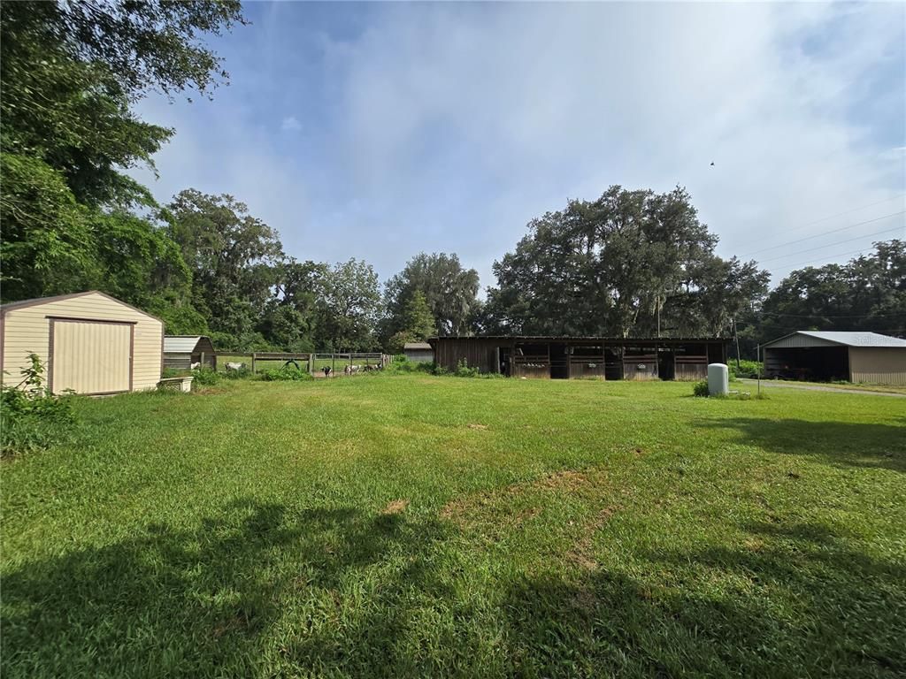 Backyard, Exterior