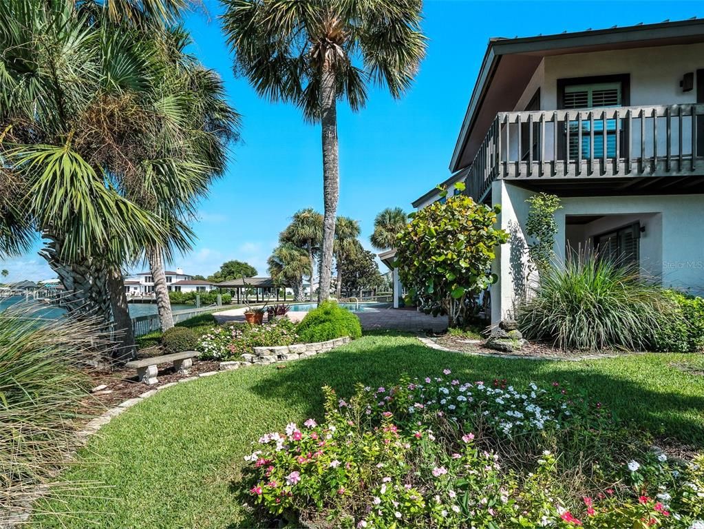 Backyard, Exterior, Water