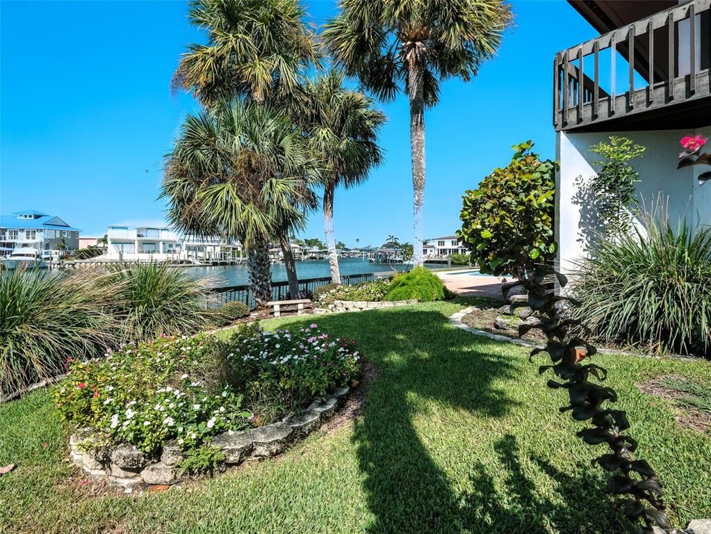 Backyard, Exterior, Water