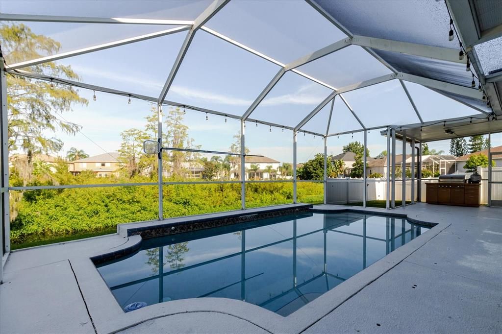 Glass Ceilings, Interior, Pool, Sun Room
