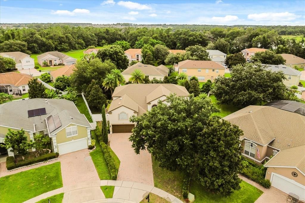 Exterior, Drone