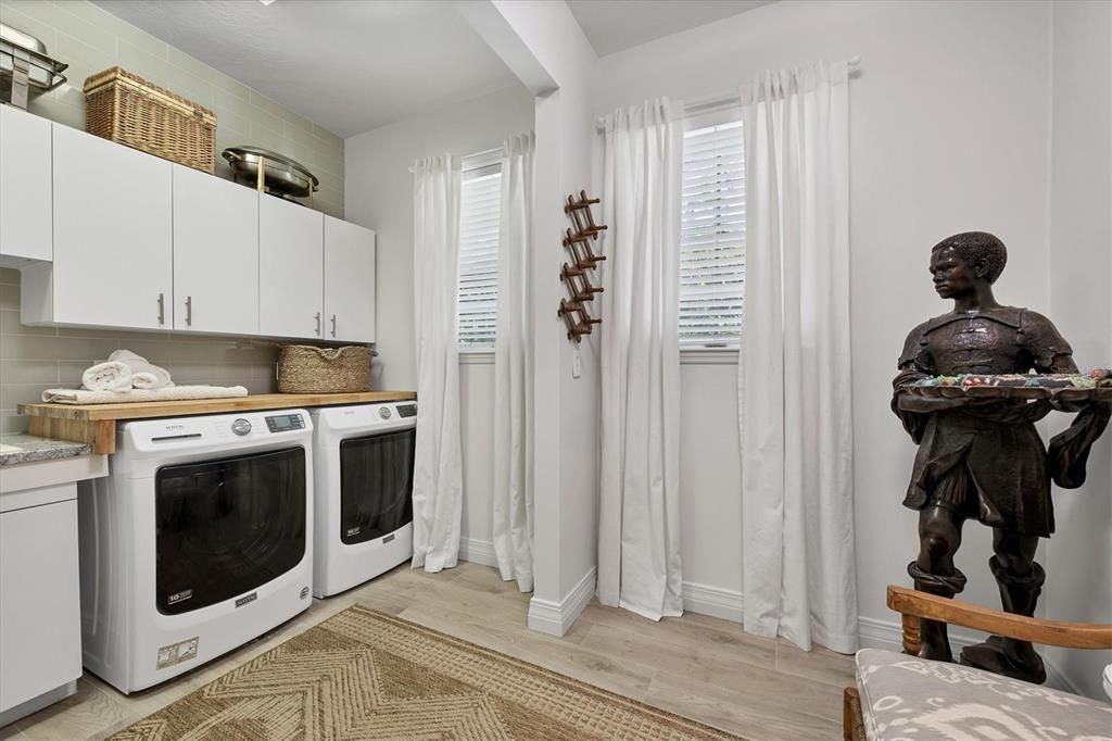 Interior, Washer, Wood Texture Flooring