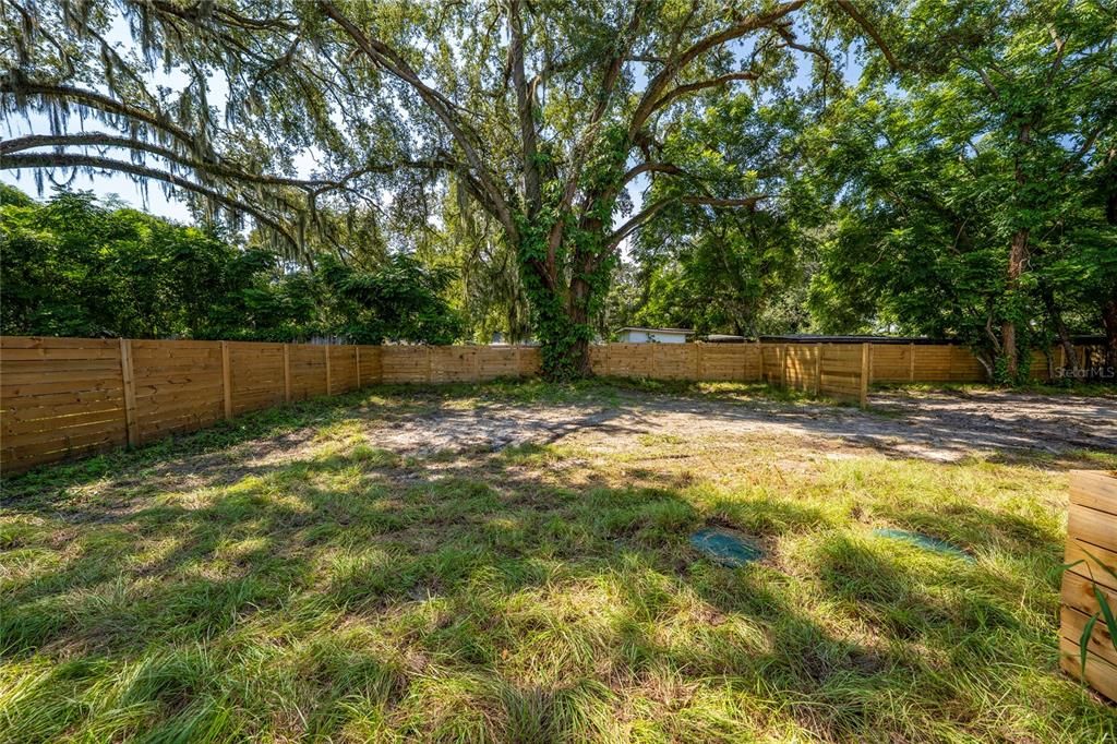 Backyard, Exterior