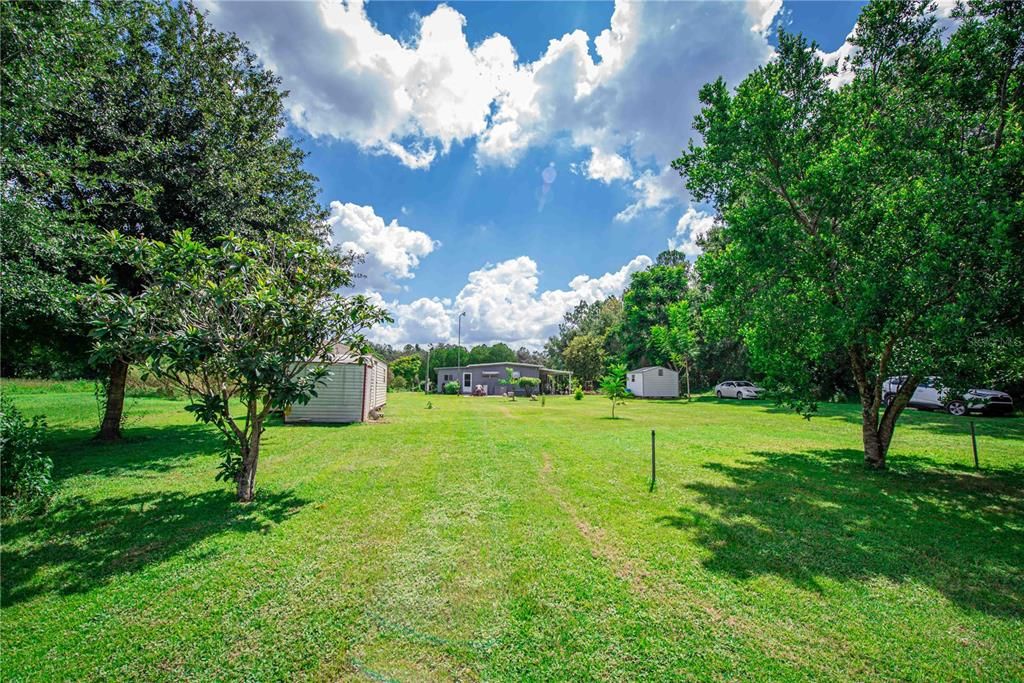 Backyard, Exterior