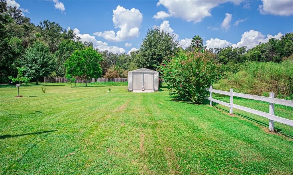 Backyard, Exterior