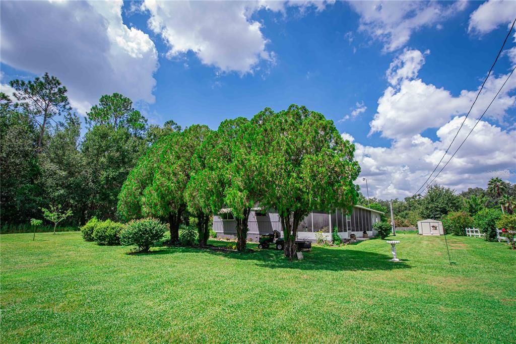 Backyard, Exterior