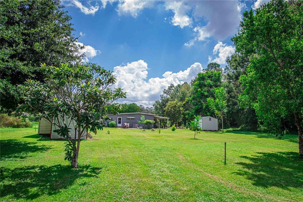 Backyard, Exterior