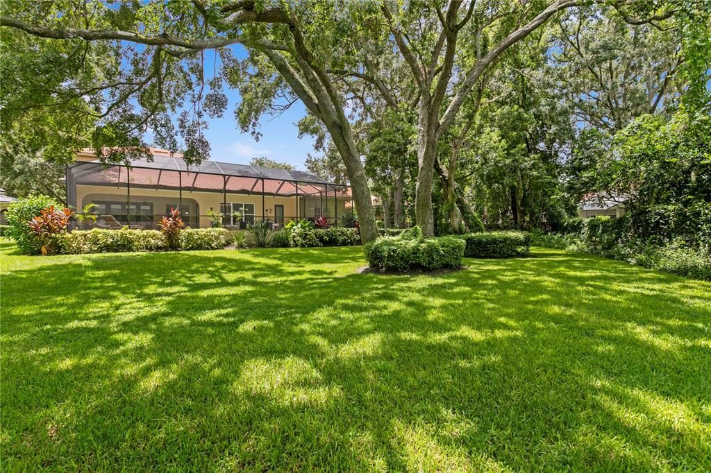 Backyard, Exterior