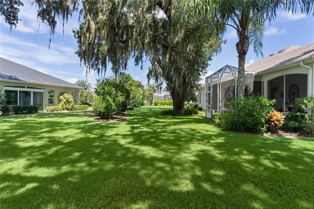 Backyard, Exterior
