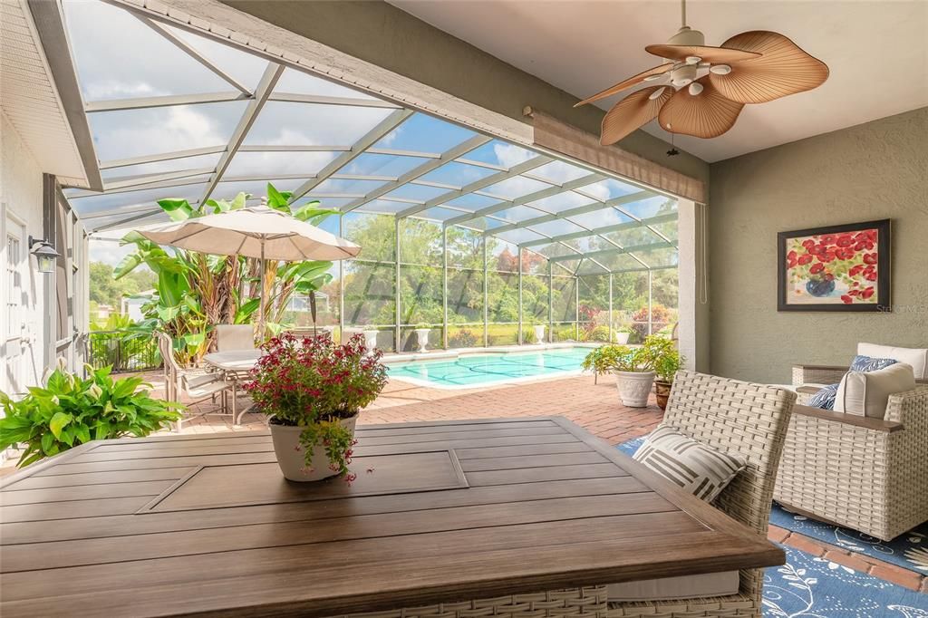 Glass Ceilings, Interior, Pool, Sun Room