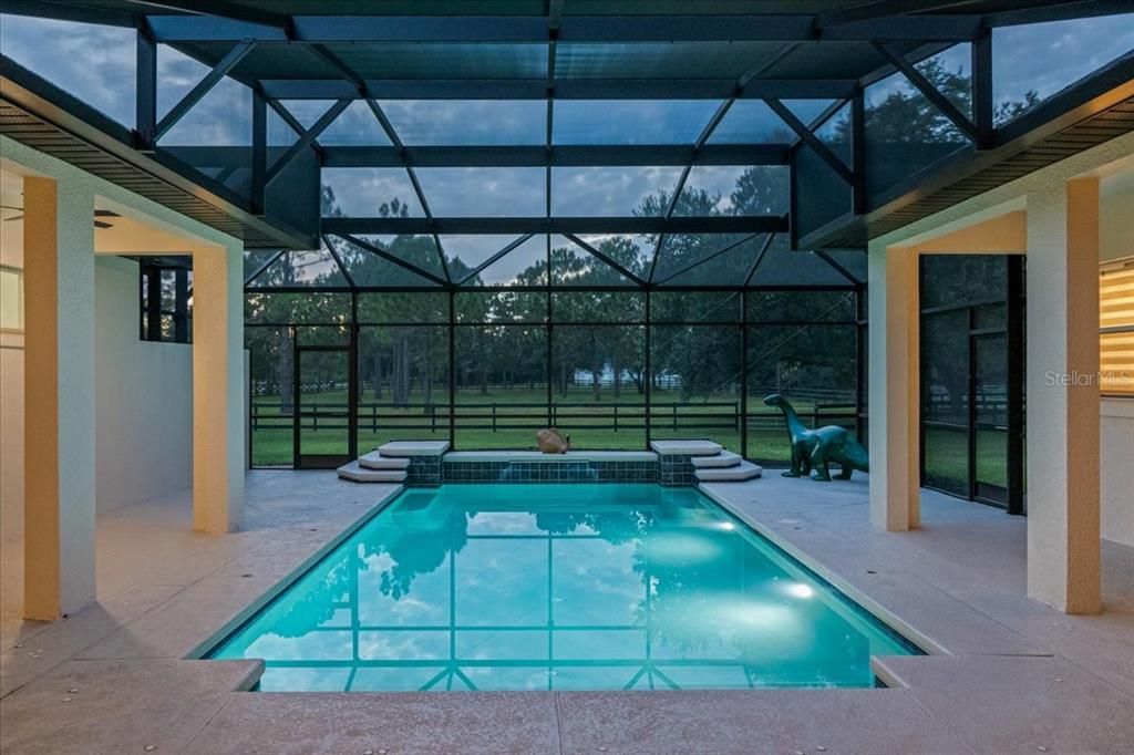 Glass Ceilings, Interior, Pool, Sun Room