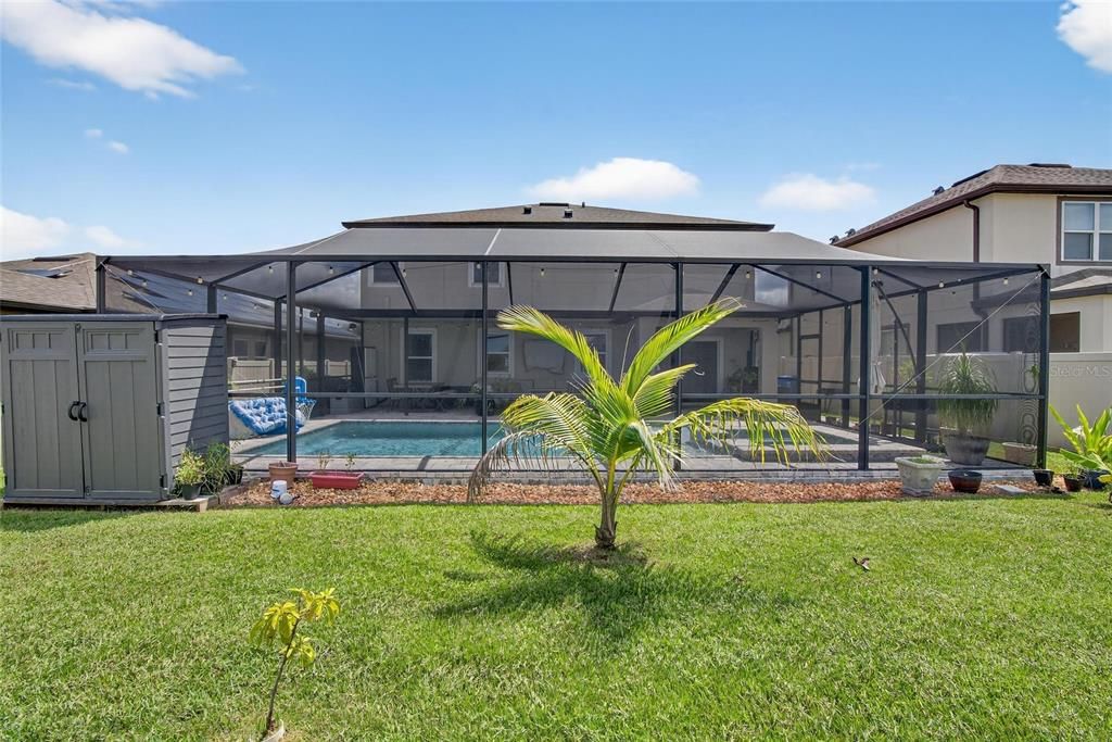 Backyard, Exterior, Pool