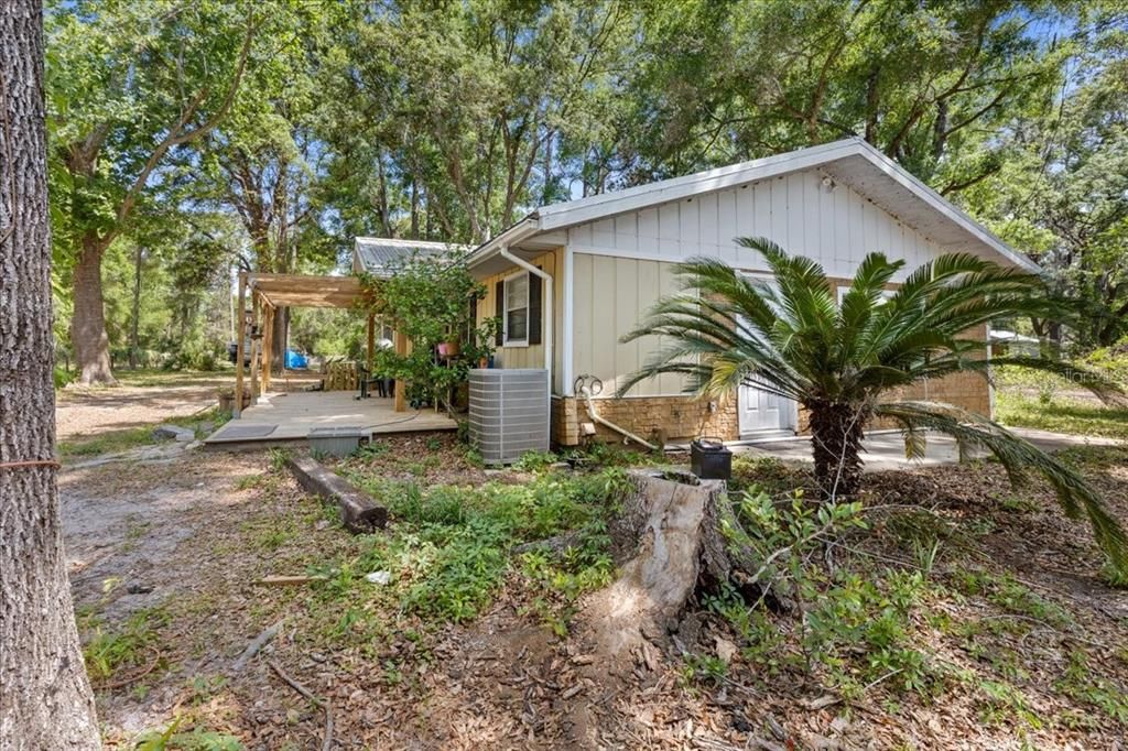 Backyard, Exterior