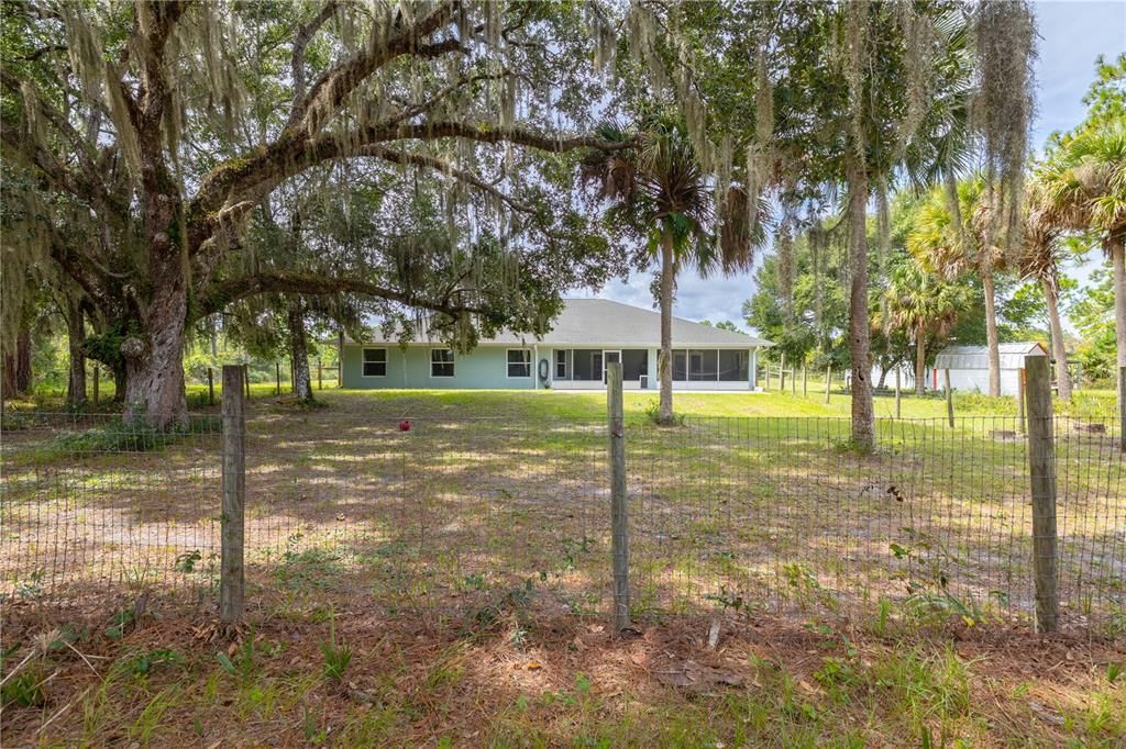 Backyard, Exterior