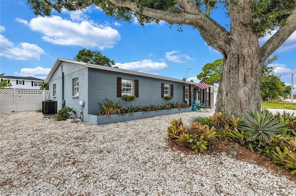 Backyard, Exterior