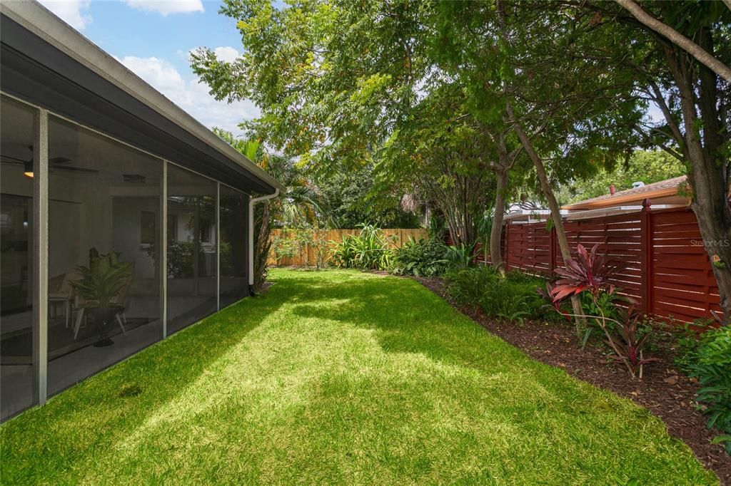 Backyard, Exterior