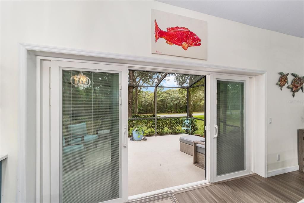 Interior, Sun Room, Wood Texture Flooring