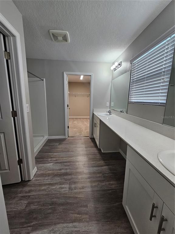 Bathroom, Dual Sink Vanities, Interior, Wood Texture Flooring