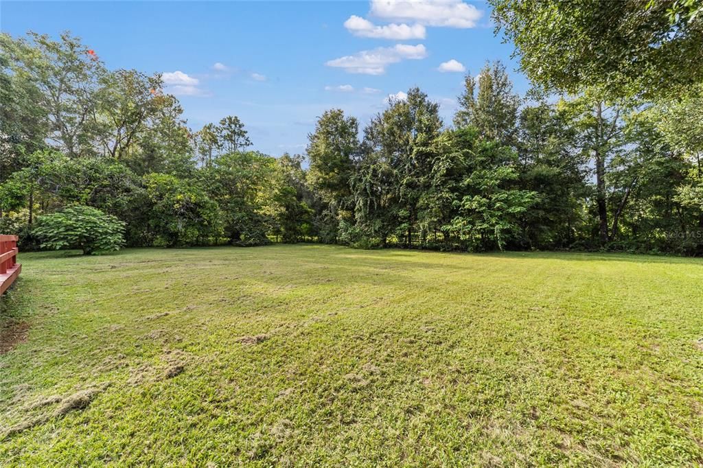 Backyard, Exterior
