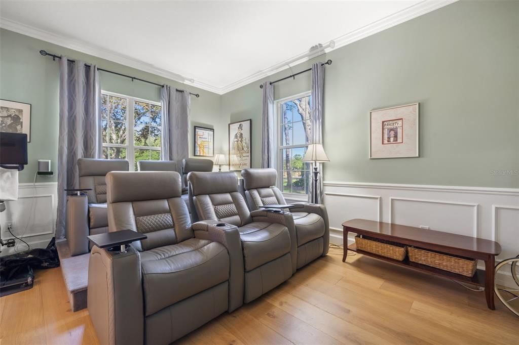 Home Theatre Room, Interior, Wood Texture Flooring