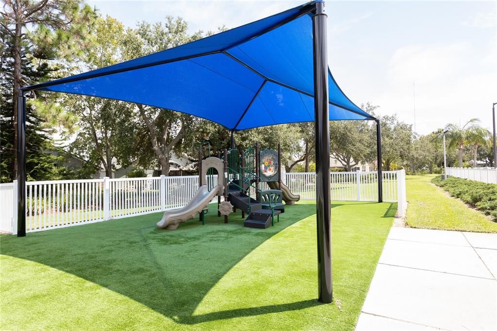 Backyard, Exterior, Playground