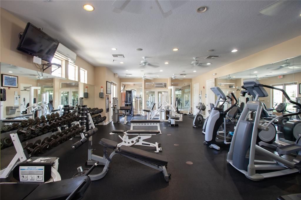 Fitness Equipment, Gym, Interior, Recessed Lighting