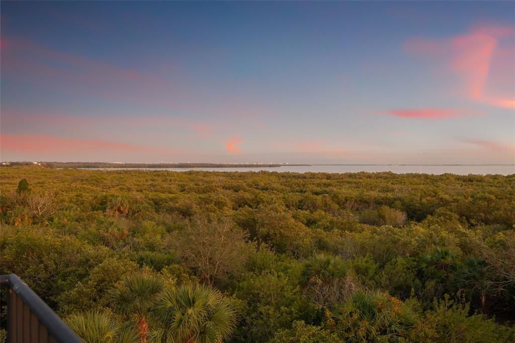 Water, Exterior, Other