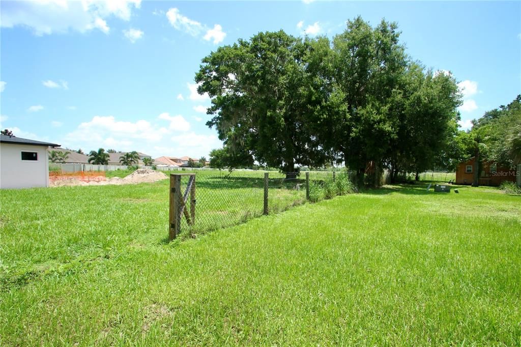 Backyard, Exterior