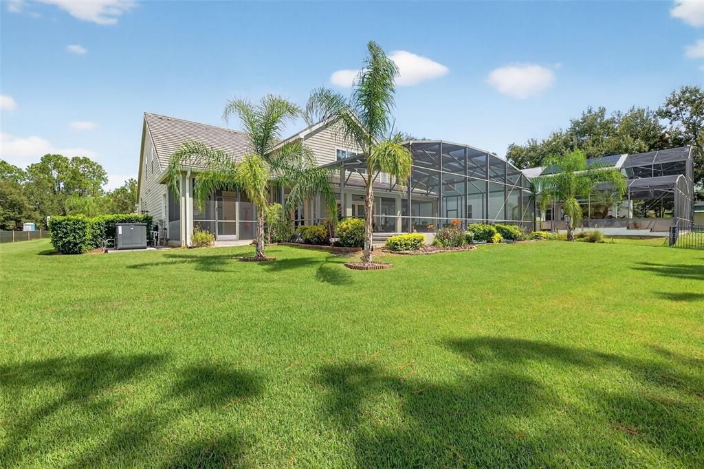 Backyard, Exterior