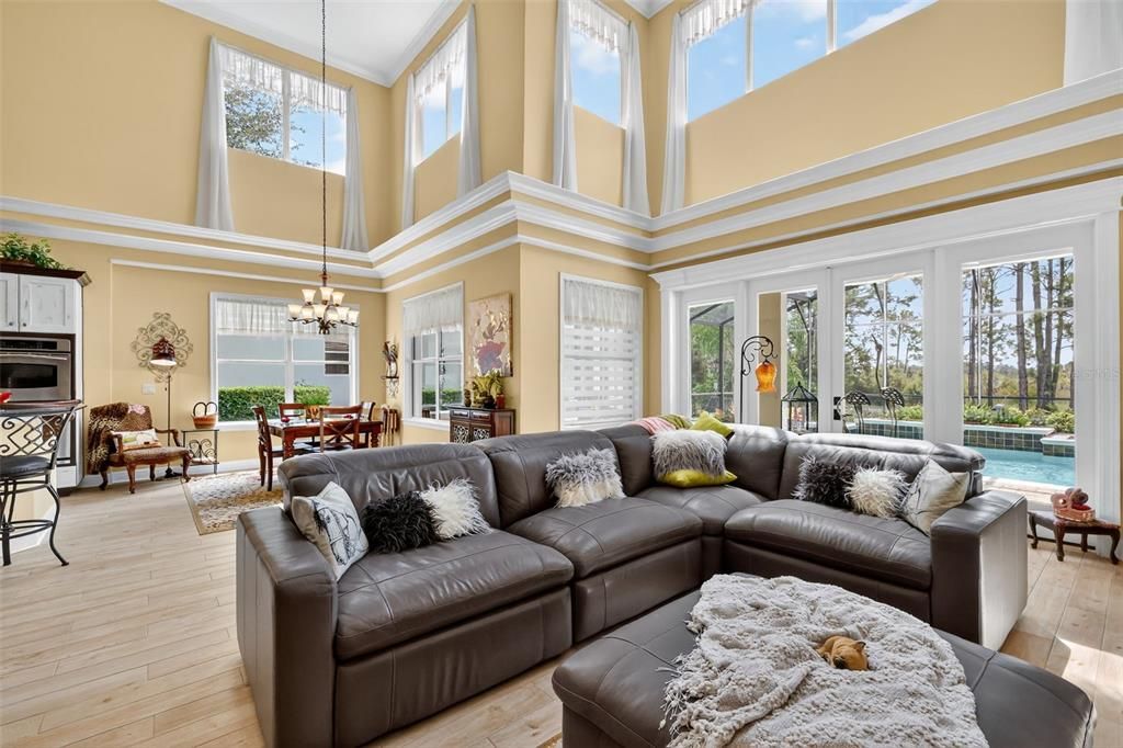 Chandelier, Dining room, Interior, Living room, Wood Texture Flooring